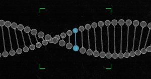 The World Health Organization Says No More Gene-Edited Babies