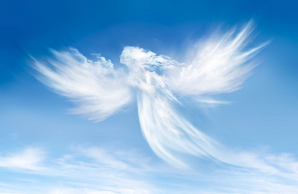 Startups Weekly: Angel vs. VC