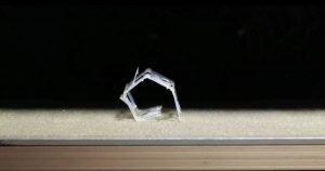Self-folding ‘Rollbot’ changes its shape in response to heat