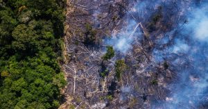 Amazon Fires and the Horrifying Science of Deforestation