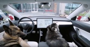 Tesla working on a fix for dangerous Dog Mode flaw