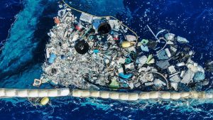 The Riddle, and Controversy, of All That Missing Plastic