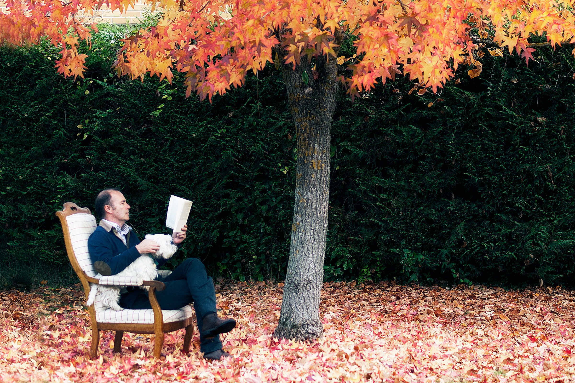 WIRED’s 13 Must-Read Books for Fall