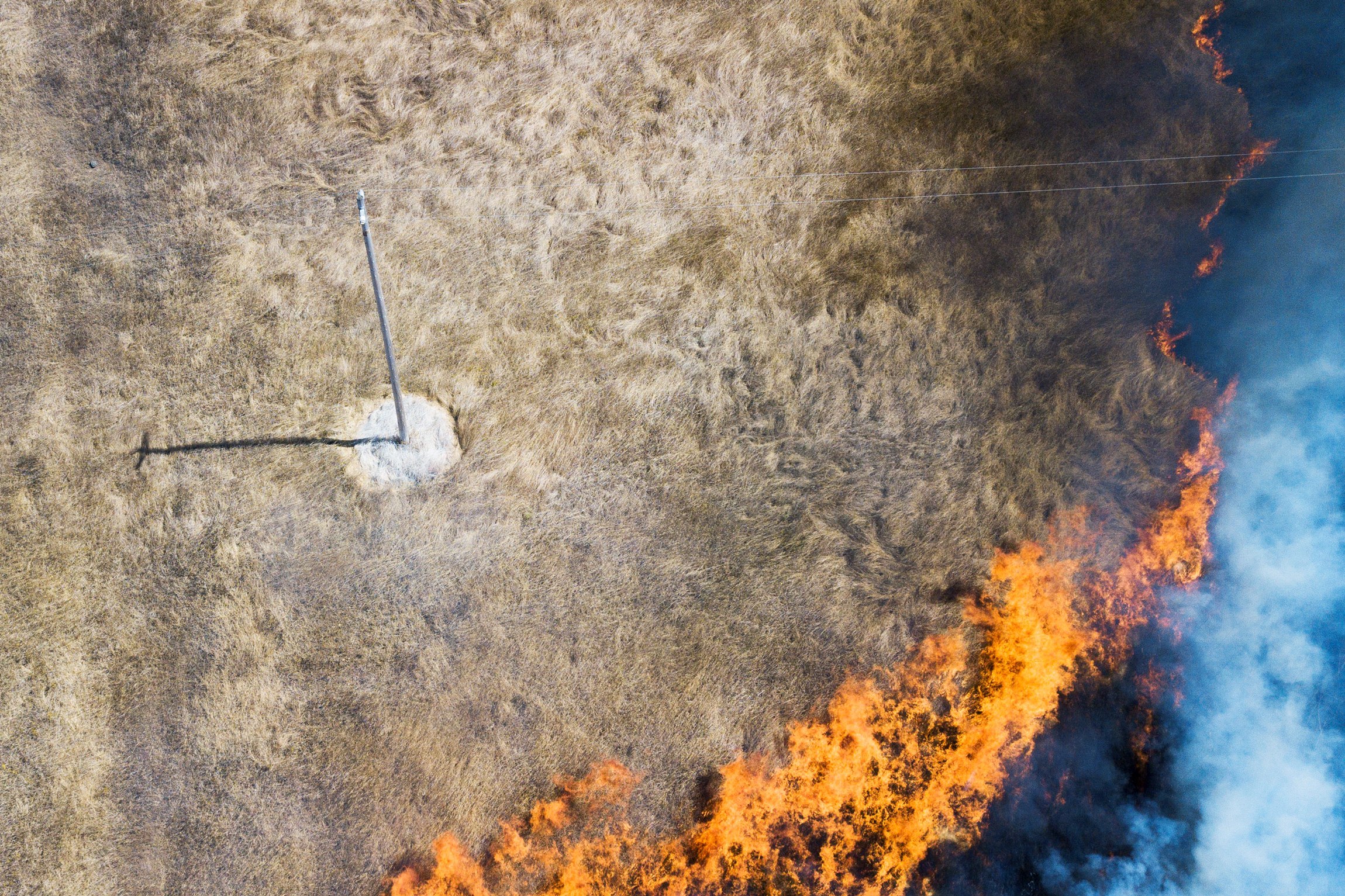 This Clever Gel Works Like a Vaccine for Wildfires