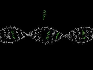 A New Crispr Technique Could Fix Almost All Genetic Diseases