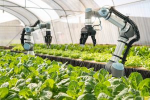 The present and future of food tech investment opportunity