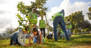 Why did Elon Musk just buy a million trees?