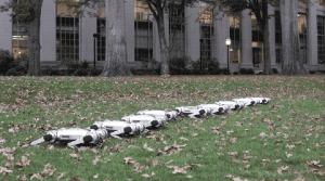Watch MIT’s ‘mini cheetah’ robots frolic, fall, flip – and play soccer together
