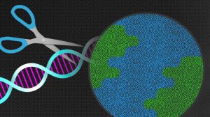 You’ve heard of CRISPR, now meet its newer, savvier cousin CRISPR Prime