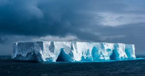 We Need to Protect Antarctic ‘Blue Carbon’