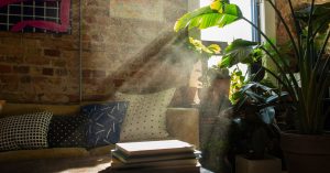 Room to Breathe: My Quest to Clean Up My Home’s Filthy Air