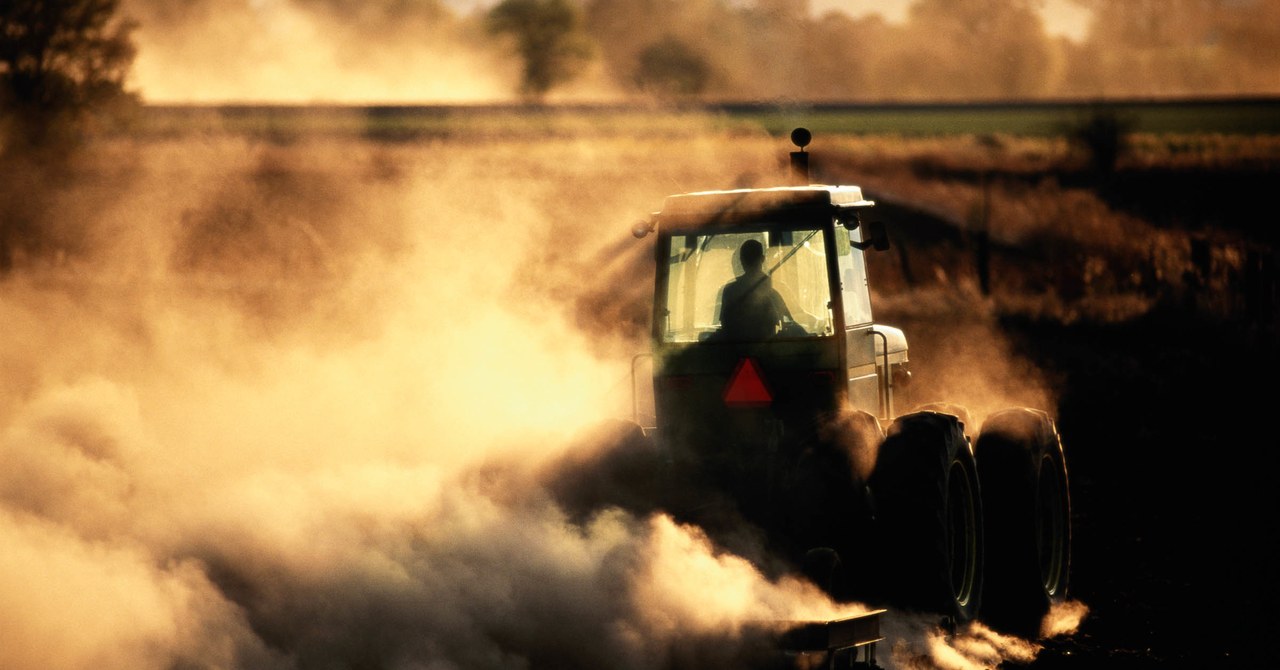 On Farming YouTube, Emu Eggs and Hay Bales Find Loyal Fans