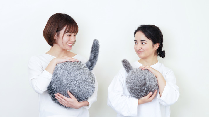 A smaller, cheaper version of Qoobo, the robotic cat pillow, is on the way