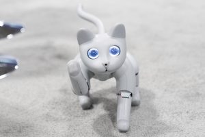 Meet MarsCat, a robot cat with lots of love to give and room to grow