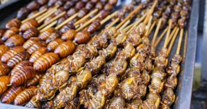 Get ready to eat bugs if you want to live beyond 2050