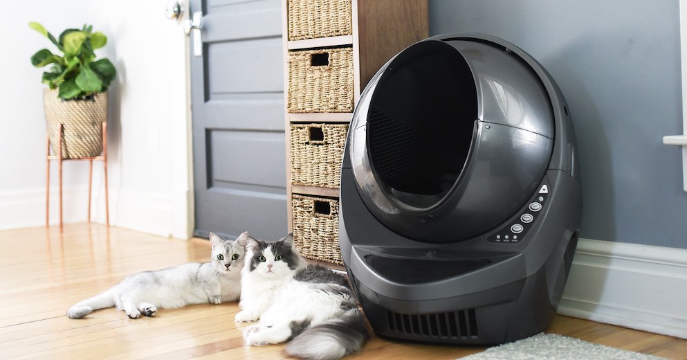 Consultation The Litter-Robot 3 Is a Clever Cat Poop Scooper