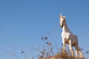 Unicorn fever as One Medical’s IPO pops 40% after conservative pricing