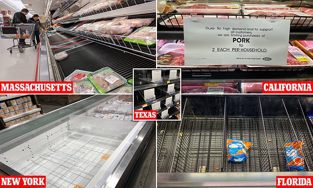 People and Tech The usa’s meat disaster laid bare as cabinets sit empty for the duration of the country – Each day Mail
