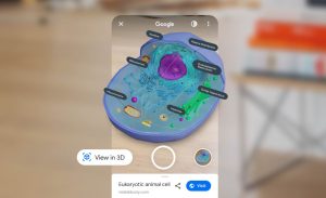 Google could give you AR science lessons correct from the search internet page