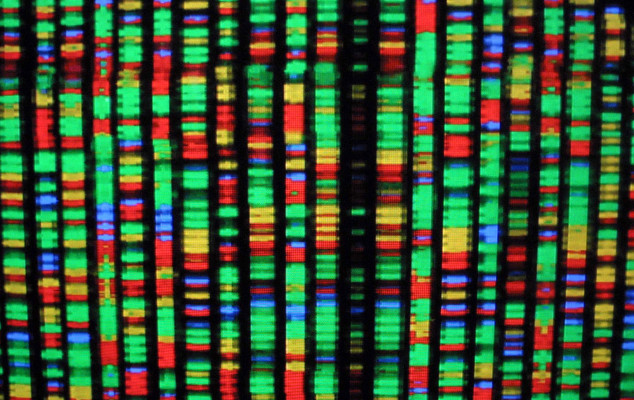 Gedmatch investigating after consumer DNA knowledge made accessible to police