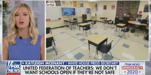 McEnany compares lecturers to ‘meat packers’ in pushing apart COVID strike – Industrial Insider
